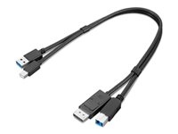 Lenovo Dual Head - skärm/USB-kabelsats - USB typ A, DisplayPort till Mini DisplayPort, USB Type B - 43 cm 4X91D11453