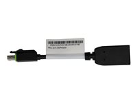 Lenovo - DisplayPort-adapter - Mini DisplayPort till DisplayPort 00PH009