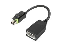 Lenovo - DisplayPort-adapter - Mini DisplayPort till DisplayPort 4X90Q93975