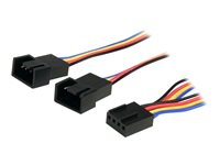 StarTech.com 12in 4 Pin Fan Power Splitter Cable - F/M - 1ft Fan Y Cable - 1ft 4-pin Fan Splitter Cable (FAN4SPLIT12) - strömdelare för fläkt - 4-stifts PWM till 4-stifts PWM - 31 cm FAN4SPLIT12