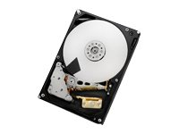 WD Ultrastar 7K6000 HUS726060AL4211 - hårddisk - 6 TB - SAS 12Gb/s 0F22800