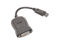 Lenovo DVI-kabel - 20 cm 45J7915