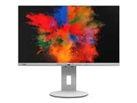 Fujitsu P2410 TE - LED-skärm - Full HD (1080p) - 23.8" S26361-K1699-V140