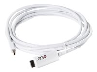 Club 3D CAC-1173 - videokort - DisplayPort / HDMI - 3 m CAC-1173